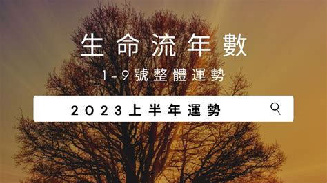 2023生命靈數流年|2023生命流年數看整體運勢，找到年度幸運方向（含。